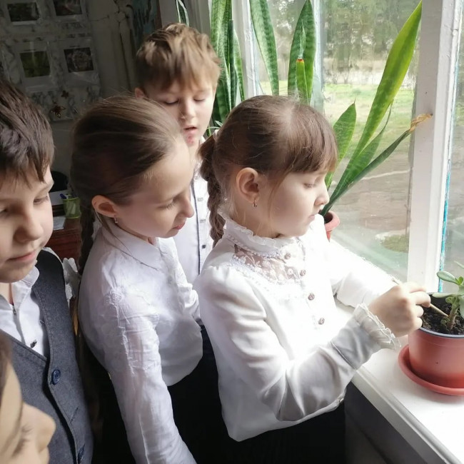 Объединение "Лесные робинзоны"