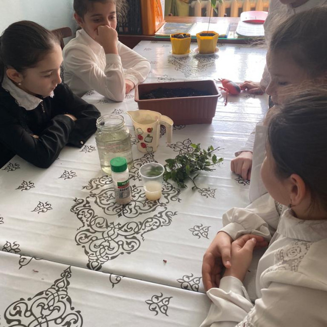 Опытническая и исследовательская работа в объединении "Цветоводы"