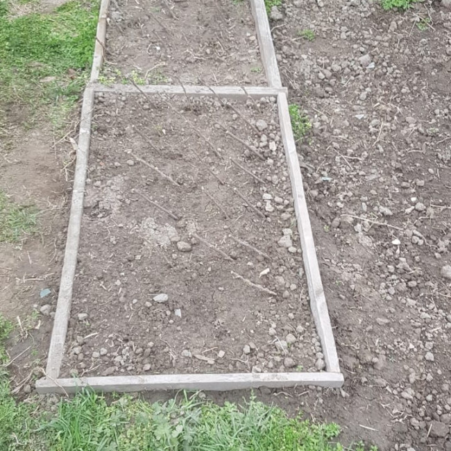 Объединение "Садоводы"