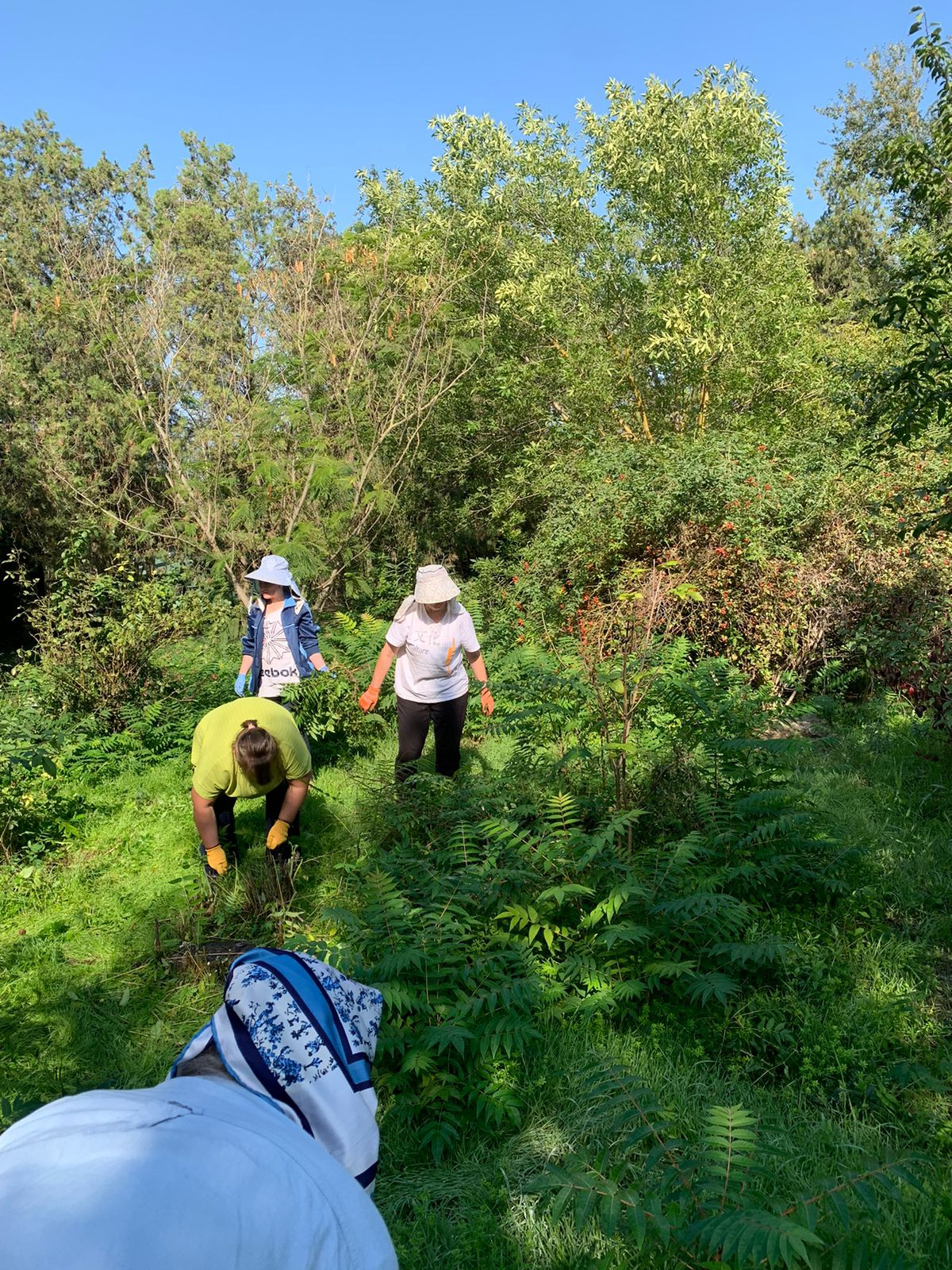 ВСЕ НА СУББОТНИК!!! ВСЕ НА СУББОТНИК!!!