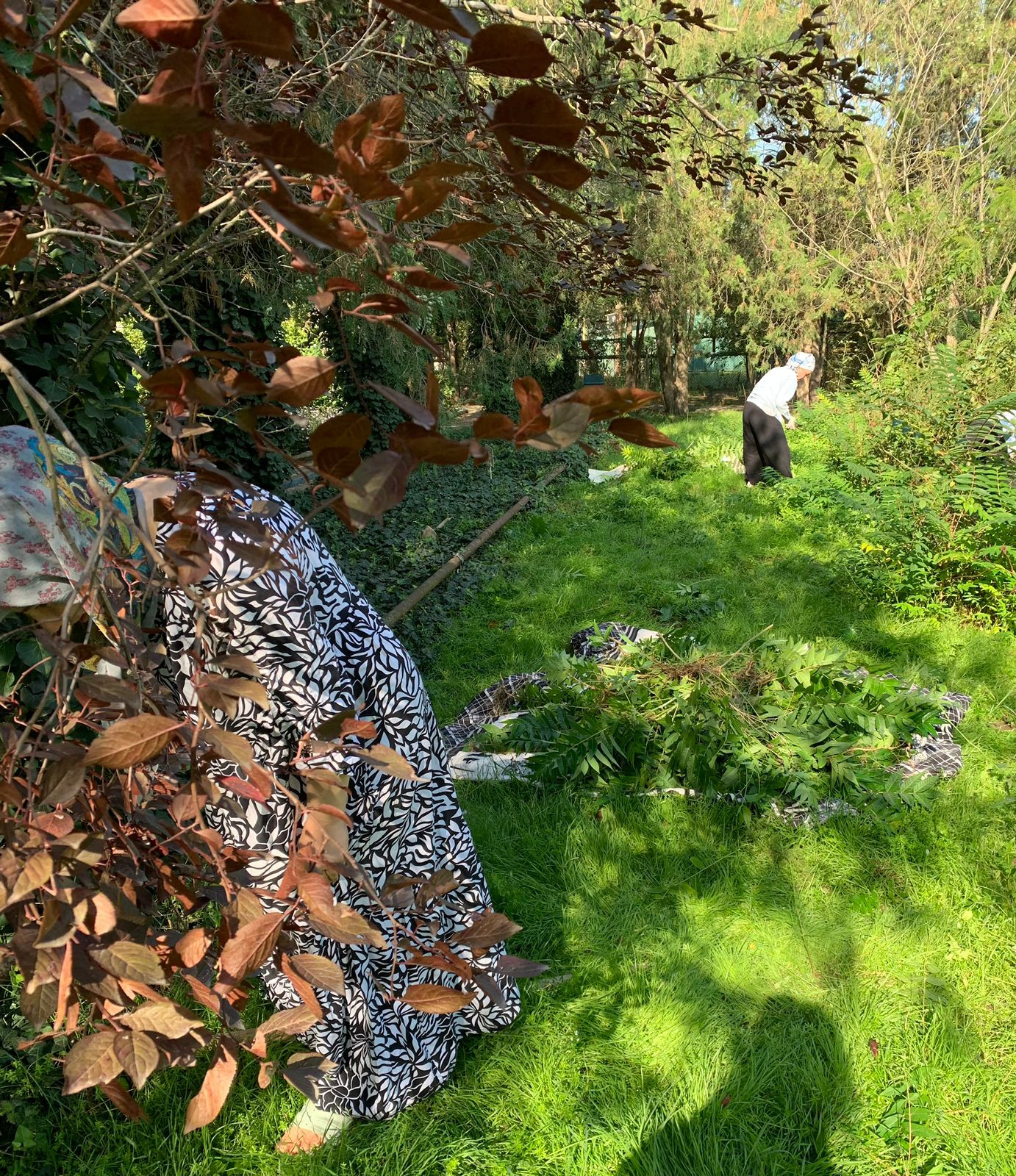 ВСЕ НА СУББОТНИК!!! ВСЕ НА СУББОТНИК!!!