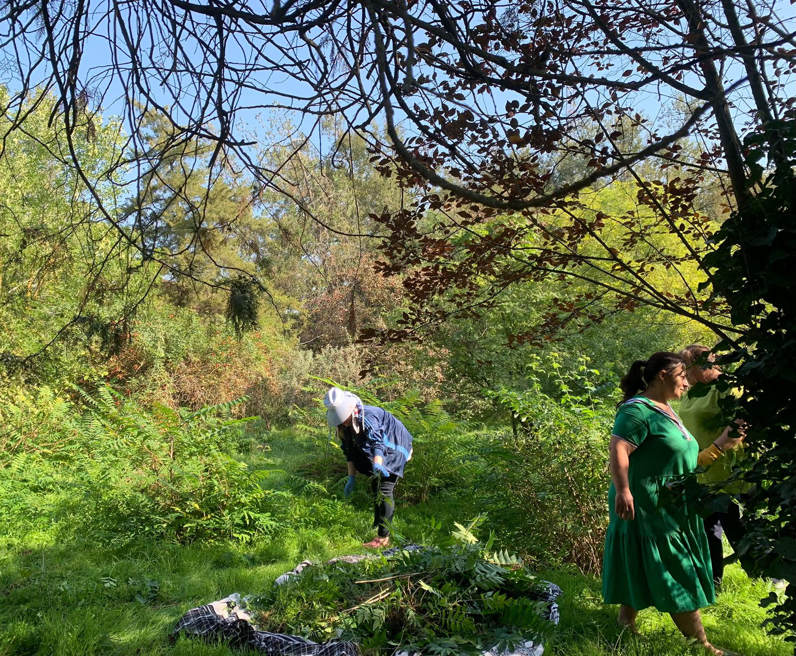 ВСЕ НА СУББОТНИК!!! ВСЕ НА СУББОТНИК!!!