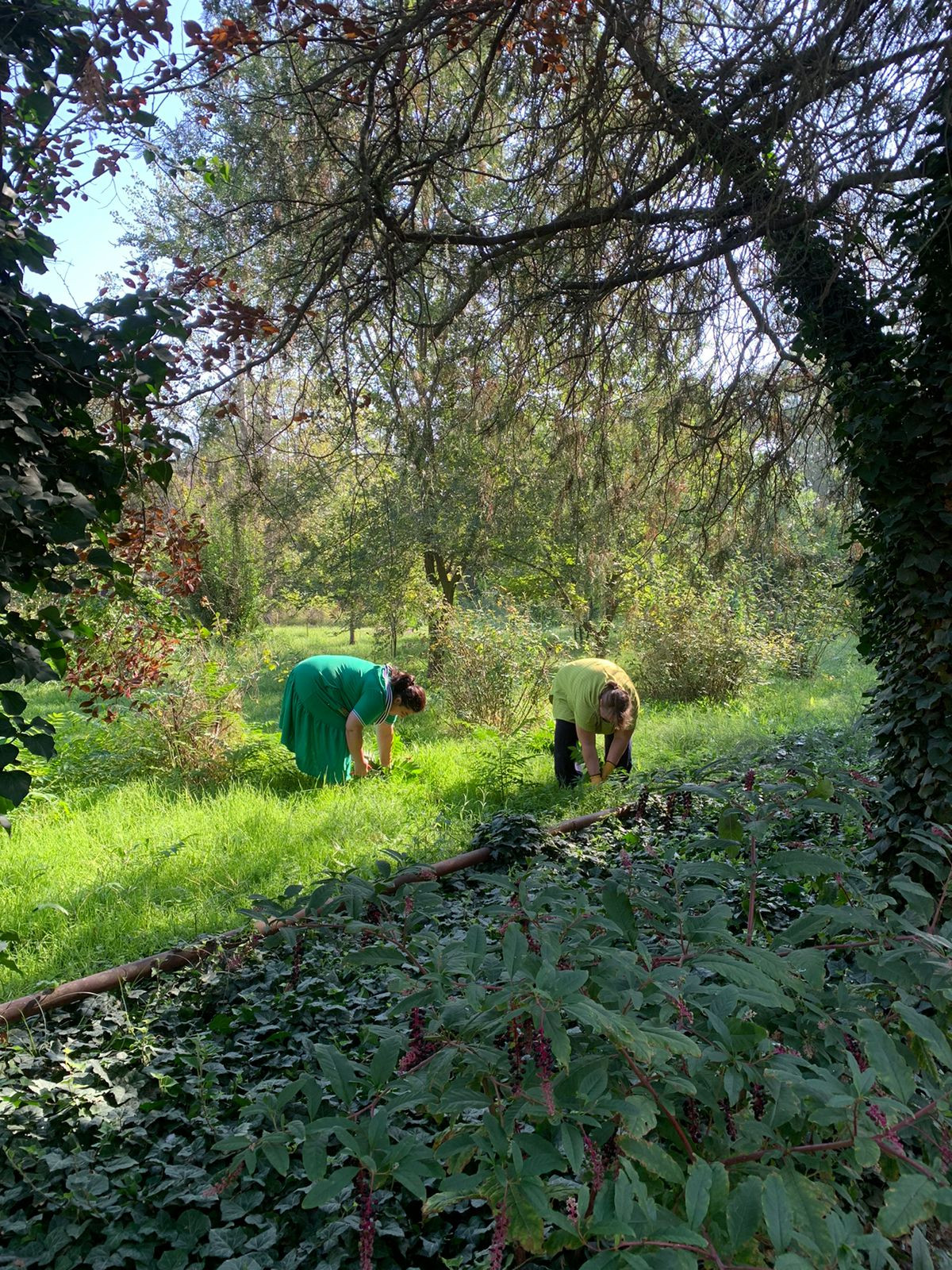 ВСЕ НА СУББОТНИК!!! ВСЕ НА СУББОТНИК!!!