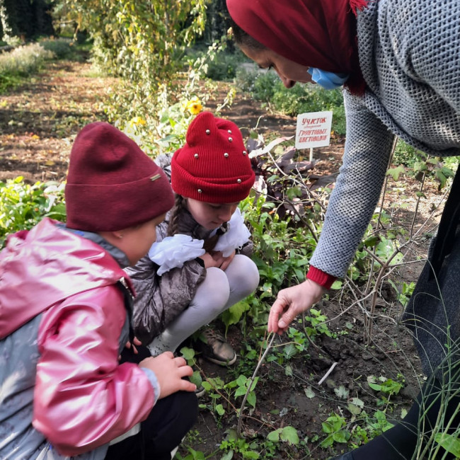 Объединение"Грунтовые цветоводы"