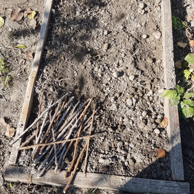 Объединение "Садоводы"