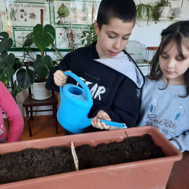 Объединение"Грунтовые цветоводы"