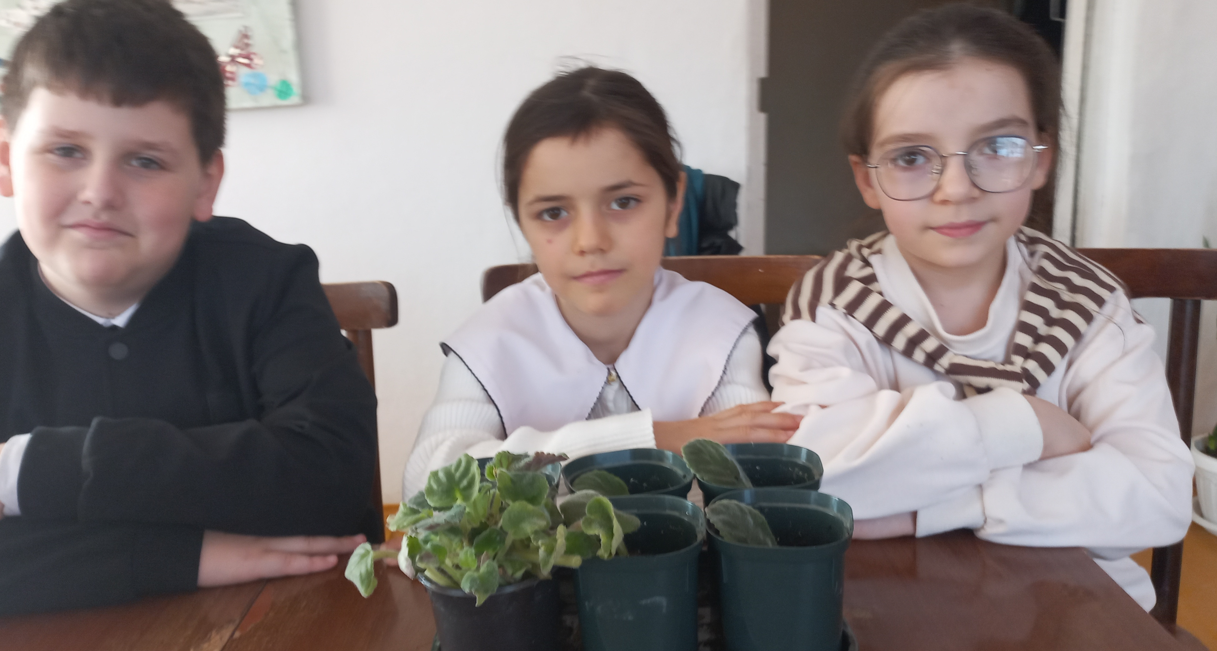 Объединение "Юные экологи"