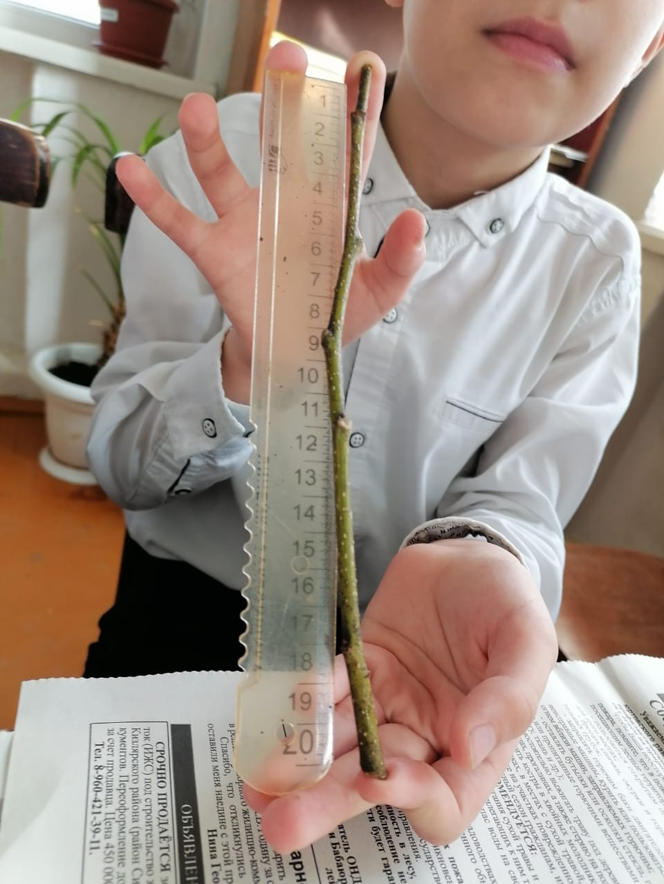 "Природа и фантазия"