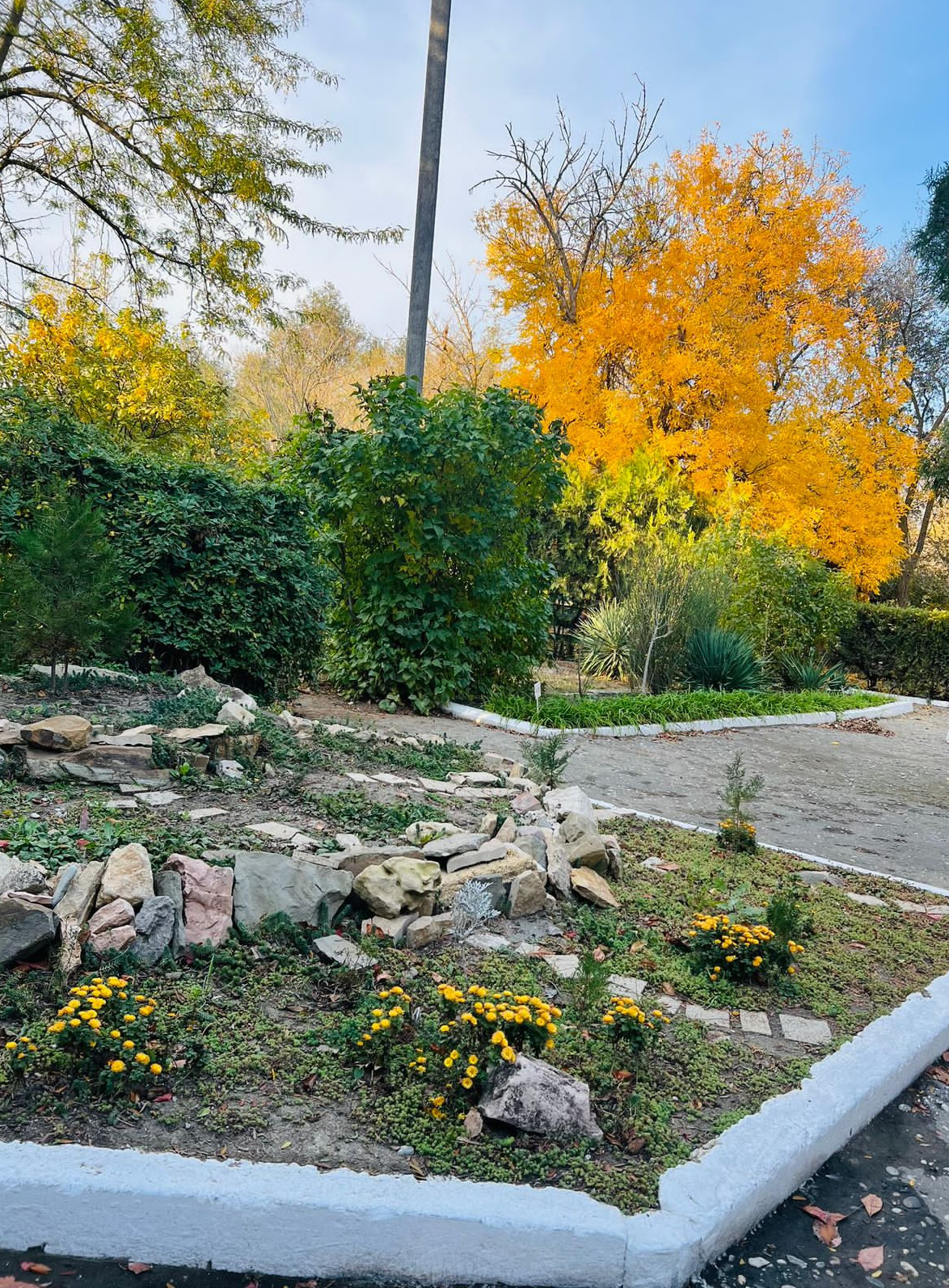 Учебно- опытный участок объединения "Юные аквариумисты"