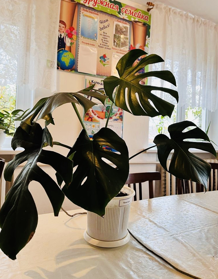 Объединение "Охрана природы"