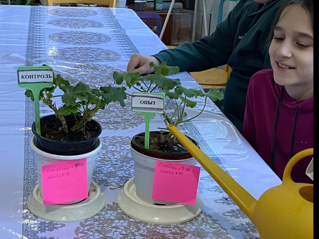 "Комнатные цветоводы"