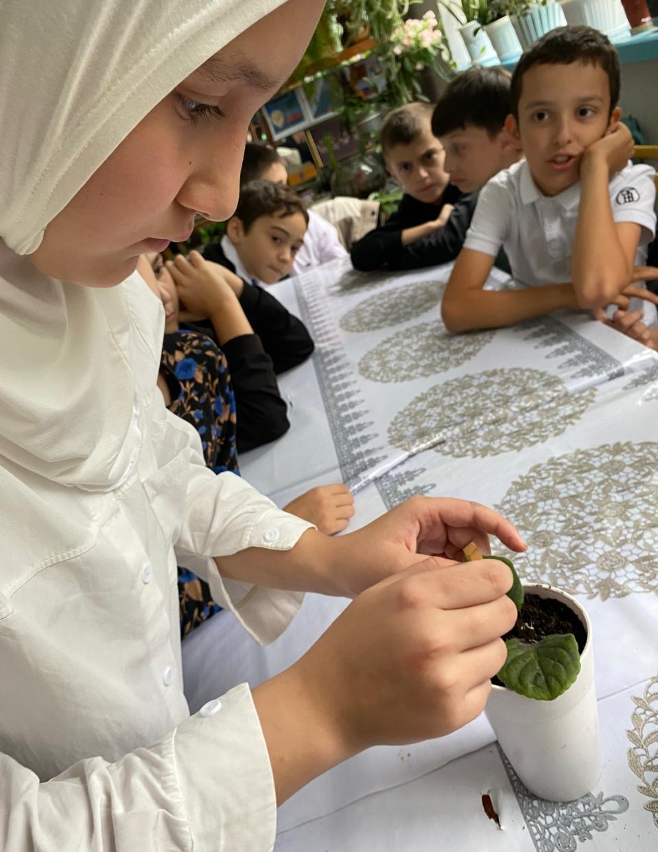 Объединение Комнатные цветоводы"