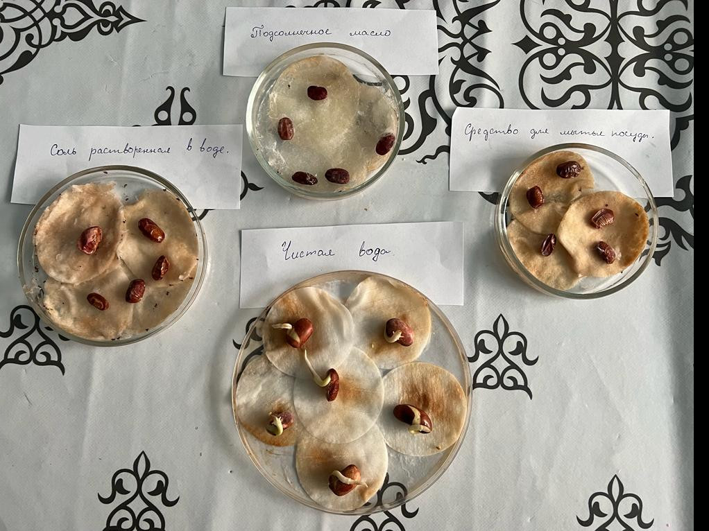 "Ландшафтный дизайнер"