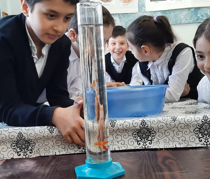 Опытническая и исследовательская деятельность в объединении "Юные аквариумисты"