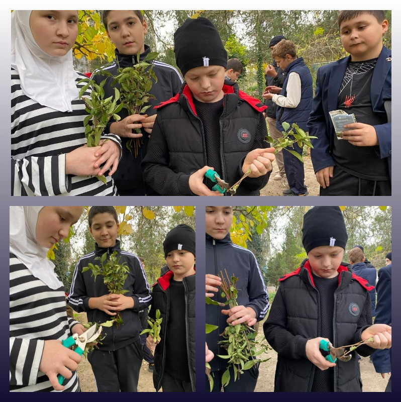 "Комнатные цветоводы" "Комнатные цветоводы"