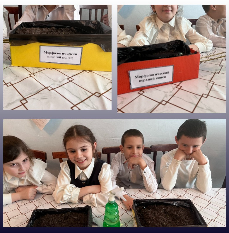 "Ландшафтный дизайнер"