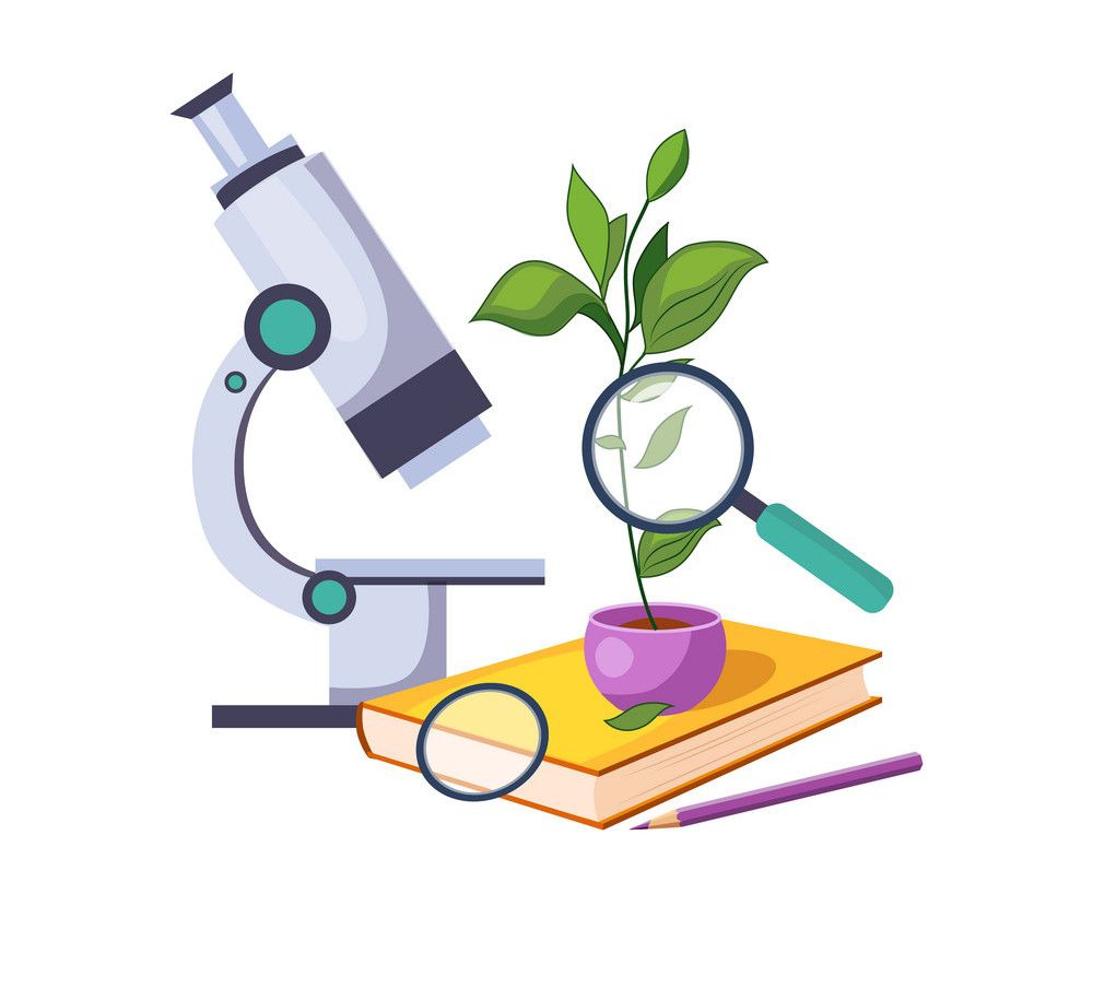 Опытническая и исследовательская деятельность в объединениях ДДиМ за 2025- 2026 уч.г.