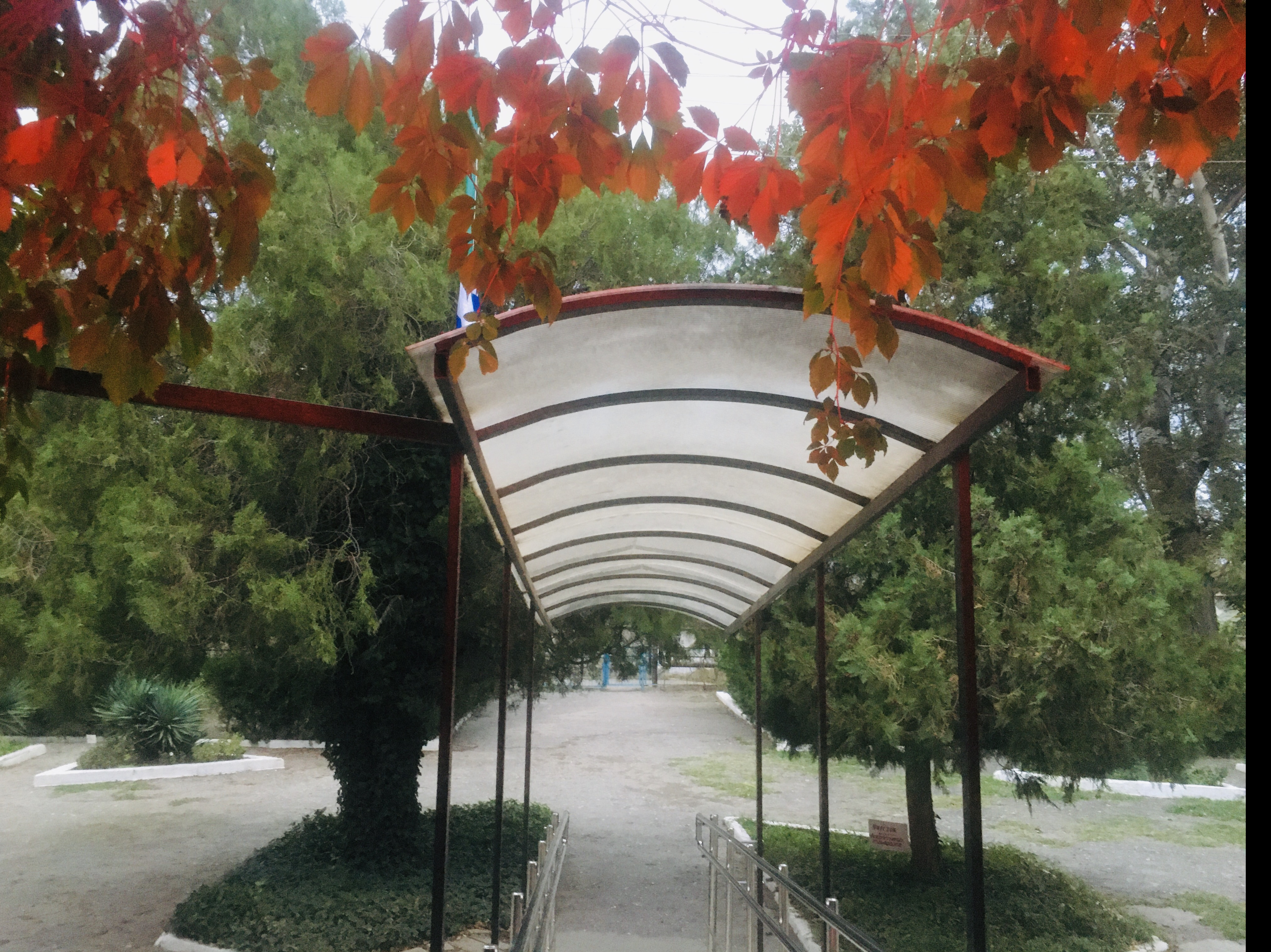 МБУ ДО "ДДиМ" МБУ ДО "ДДиМ"