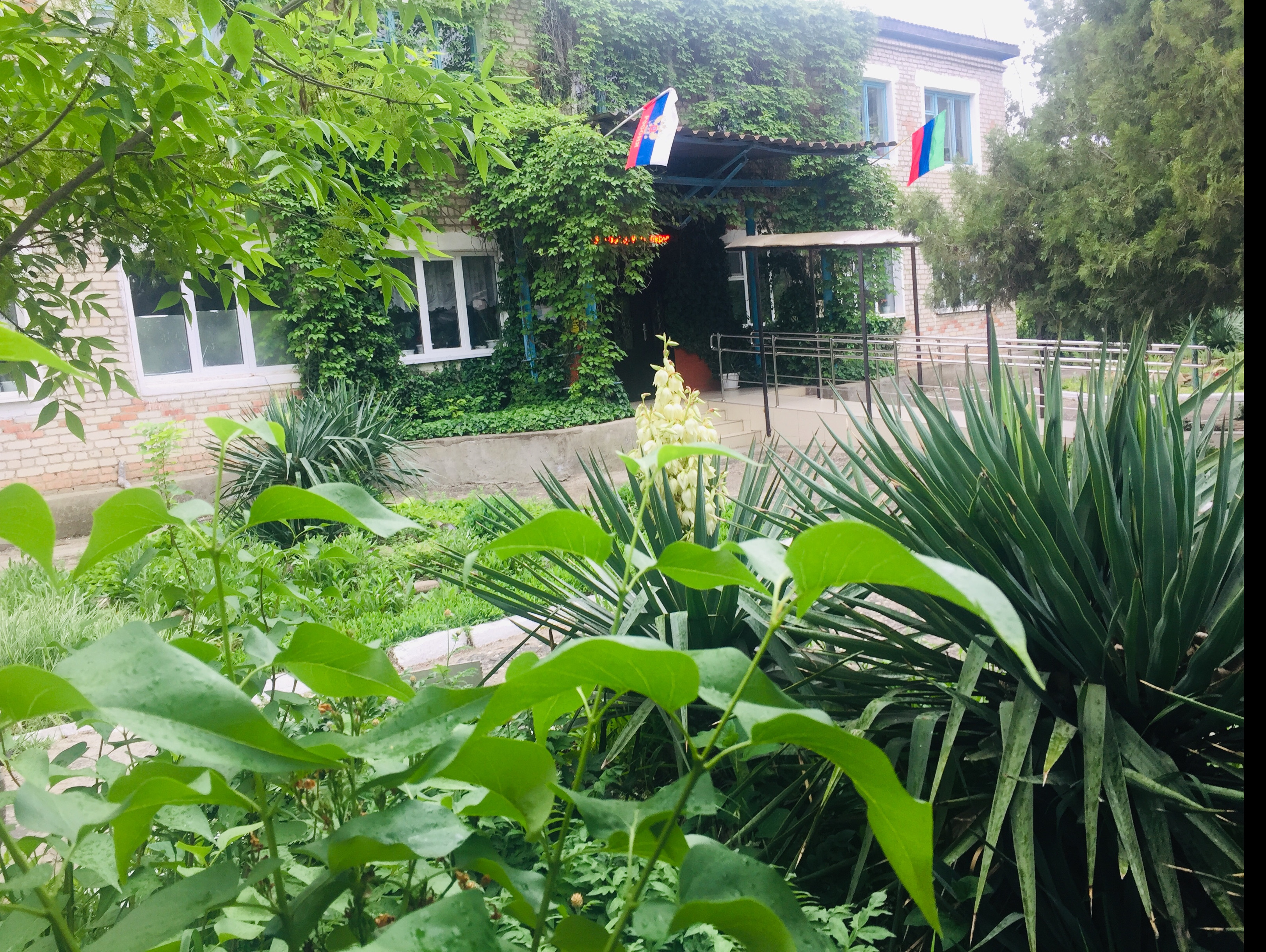 МБУ ДО "ДДиМ" МБУ ДО "ДДиМ"