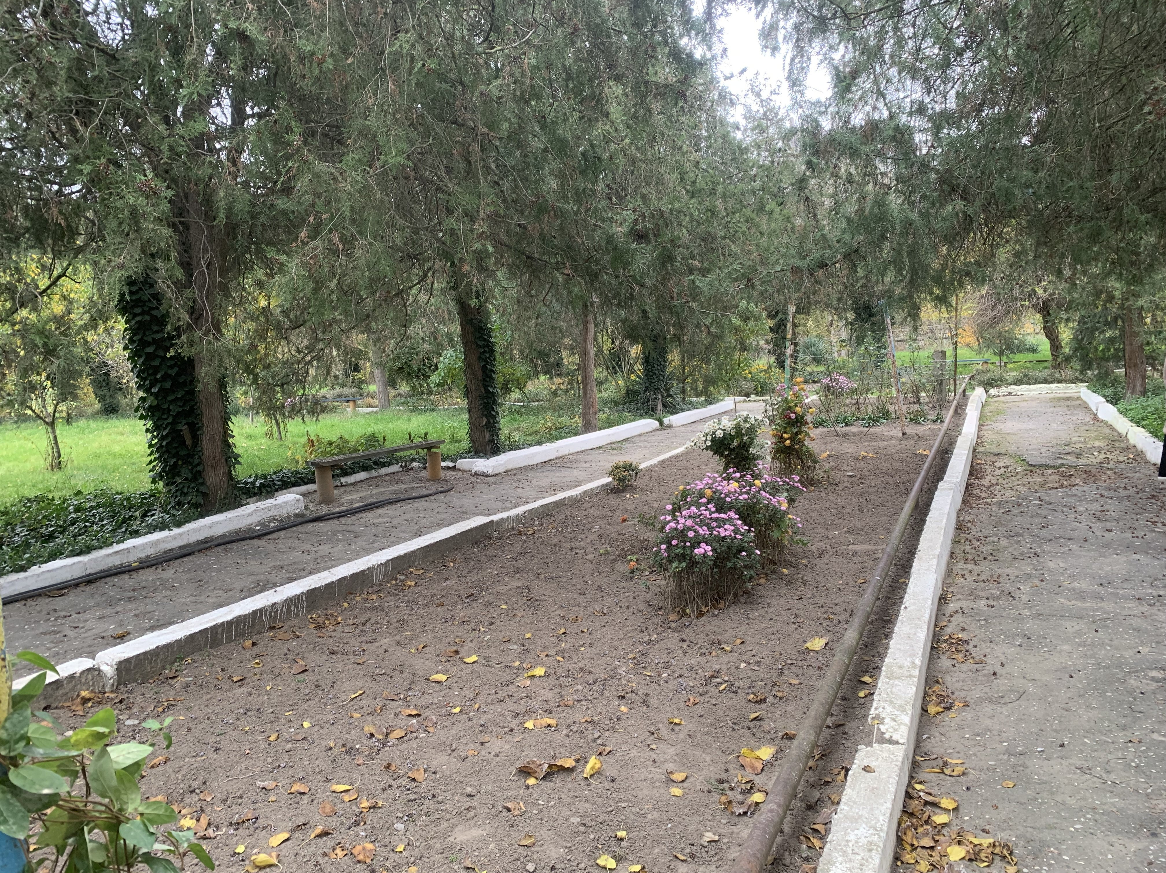 Состояние учебно- опытных участков 2025- 2026 уч.год