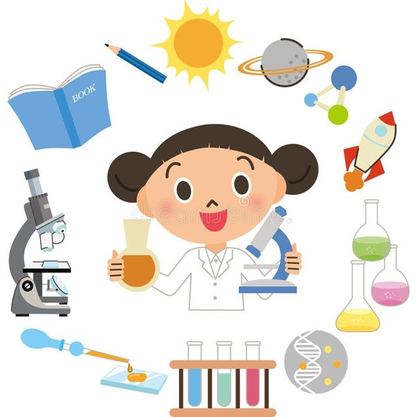 Опытническая и исследовательская деятельность в объединениях ДДиМ за 2024- 2025 уч.г.