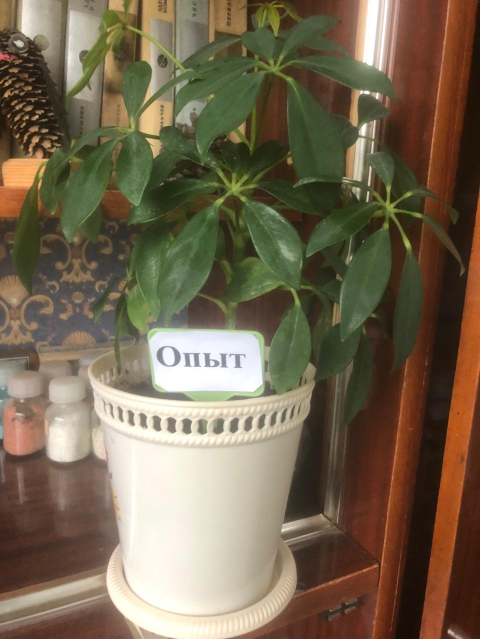 "Аквариумные рыбоводы" "Аквариумные рыбоводы"