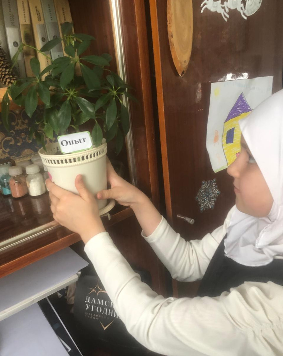 "Аквариумные рыбоводы"