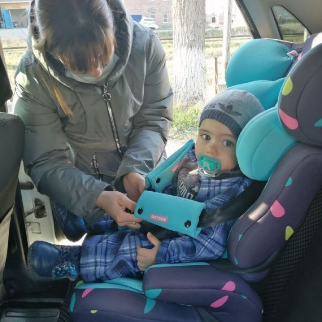 Профилактика ПДД