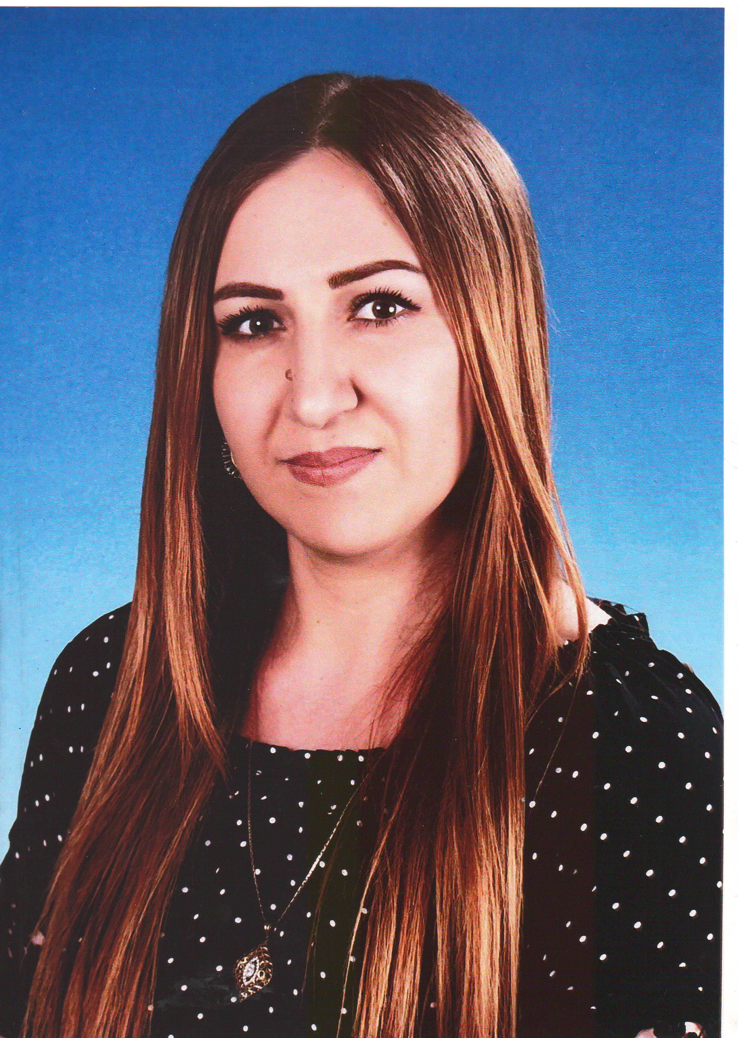 Интернет-портфолио