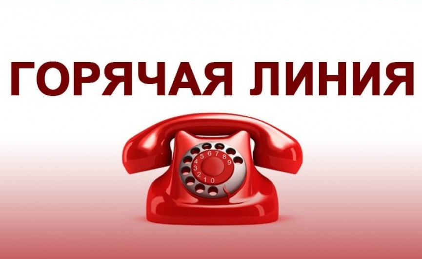 телефон горячей линии