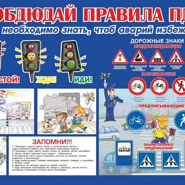 Дорожная безопасность