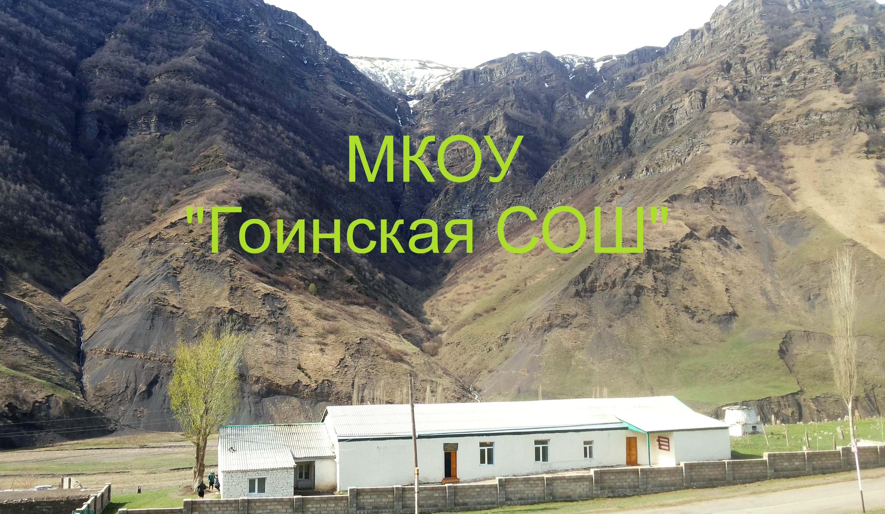 Муниципальное казённое общеобразовательное учреждение "Гоинская средняя общеобразовательная школа"