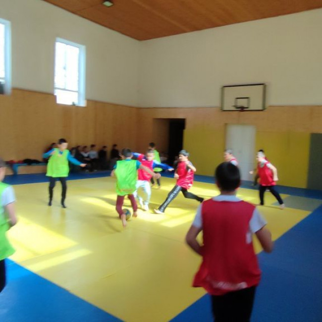 Школьная Футбольная Лига