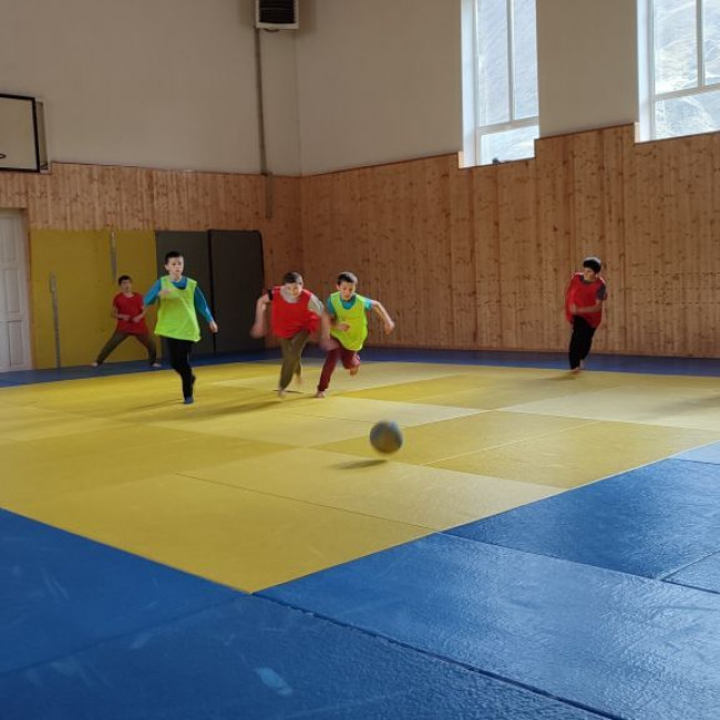 Школьная Футбольная Лига