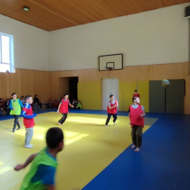 Школьная Футбольная Лига