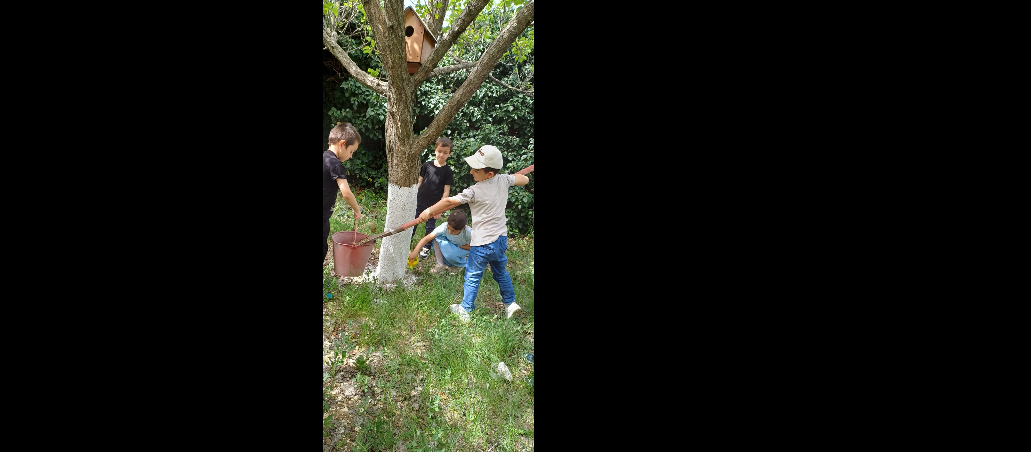 День Эколят