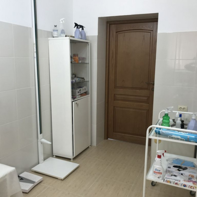 группы детского сада