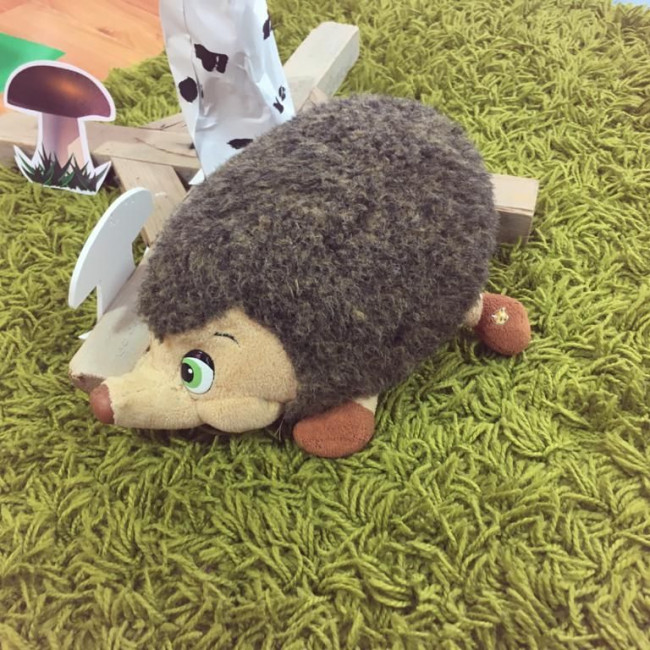 Эколята