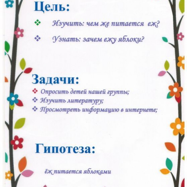 Познавательно - исследовательский проект "Зачем ежу яблоки?"