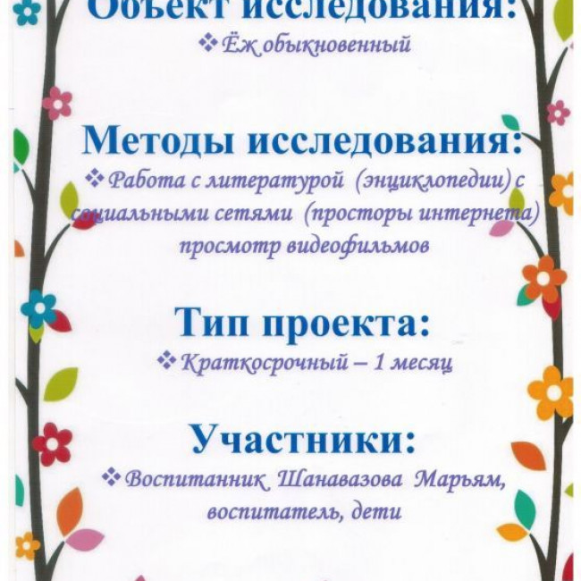 Познавательно - исследовательский проект "Зачем ежу яблоки?"