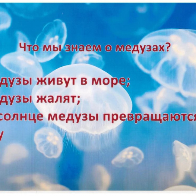 Защита проекта