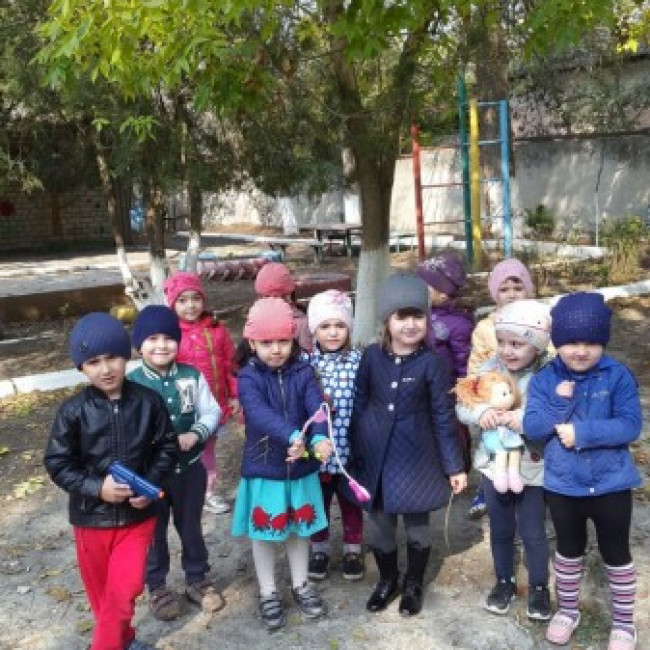 Наши прогулки