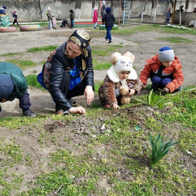 Озеленяем участки. Ознакомление детей с уходом за природой.