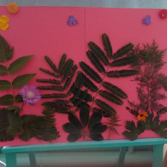 День экологии