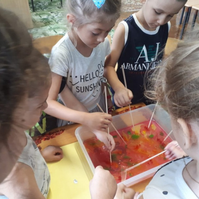 Наши занятия.