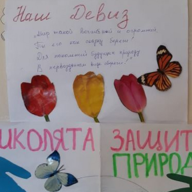 Эколята- дошколята