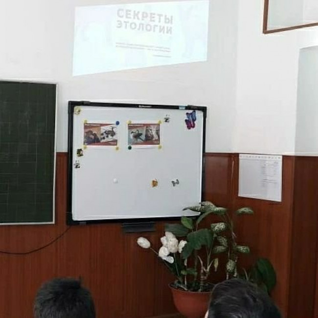 Всероссийский урок «Эколята – молодые защитники природы"