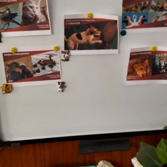 Всероссийский урок «Эколята – молодые защитники природы"