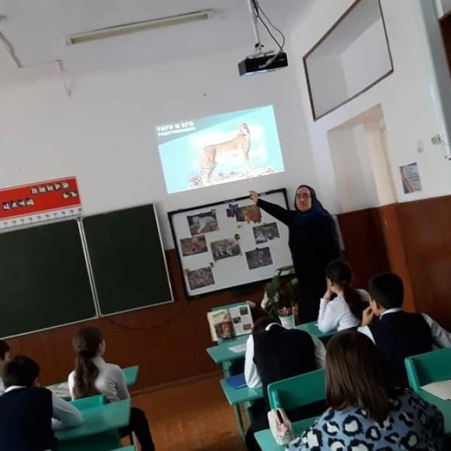 Всероссийский урок «Эколята – молодые защитники природы" Всероссийский урок «Эколята – молодые защитники природы"