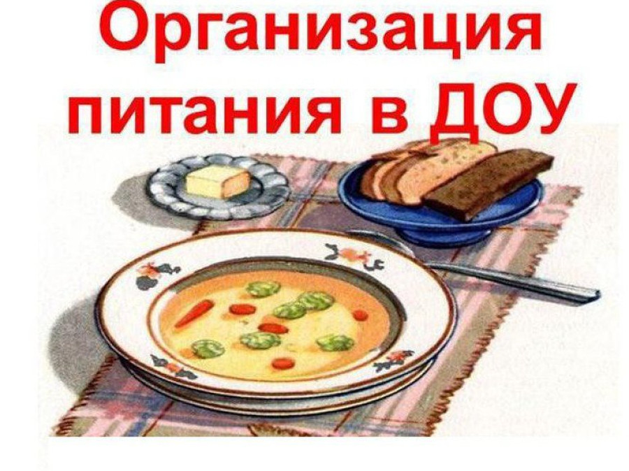 Организация питания